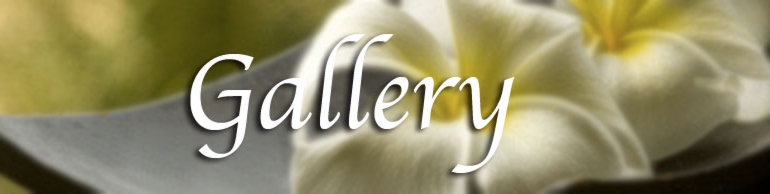 GalleryTOP.jpg